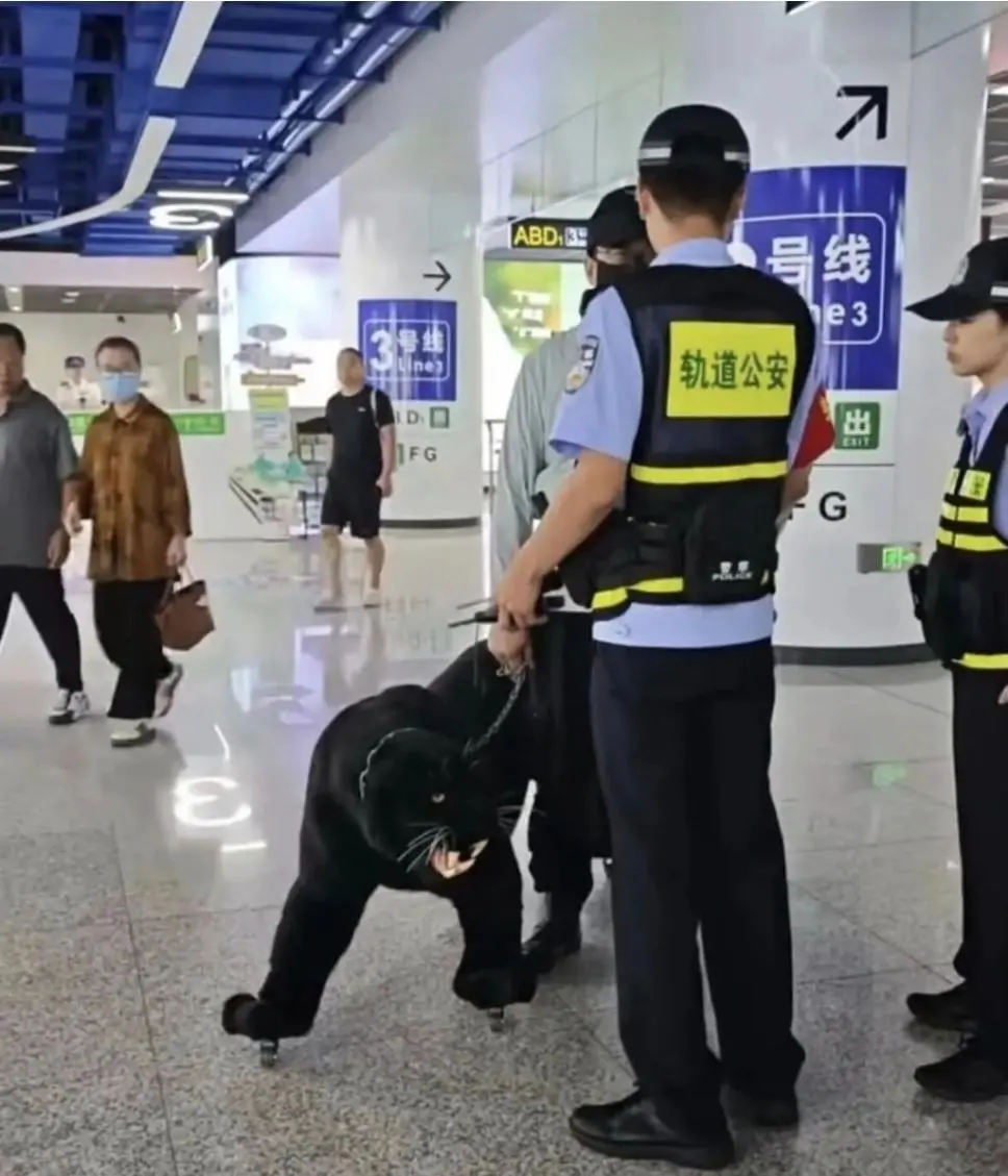 중국에서 신고로 공안 출동시킨 캐리어 외관 (2)