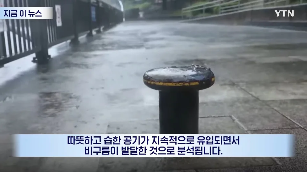 장마철도 아닌데 '기현상'…일본인들도 술렁 (9)