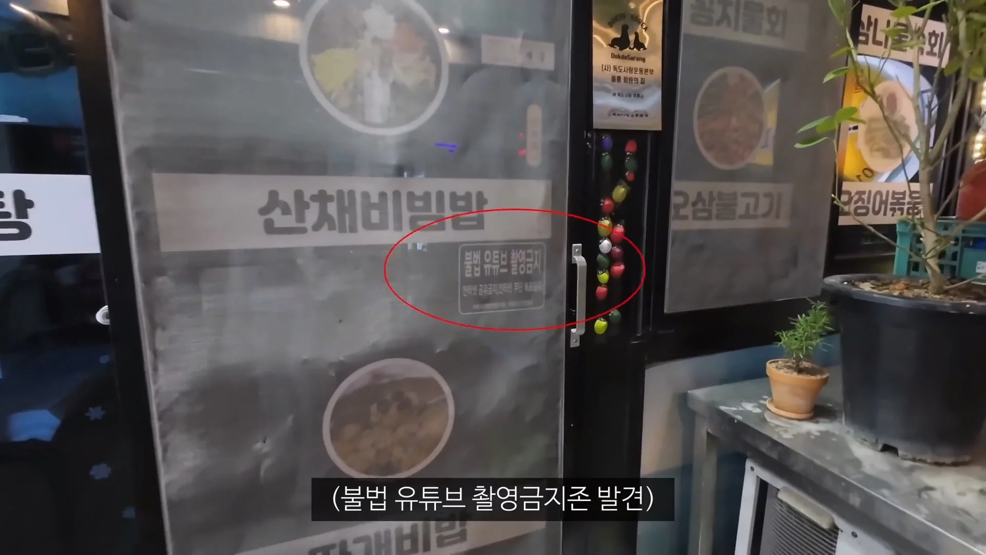 아직 정신 못차린 울릉도 (12)