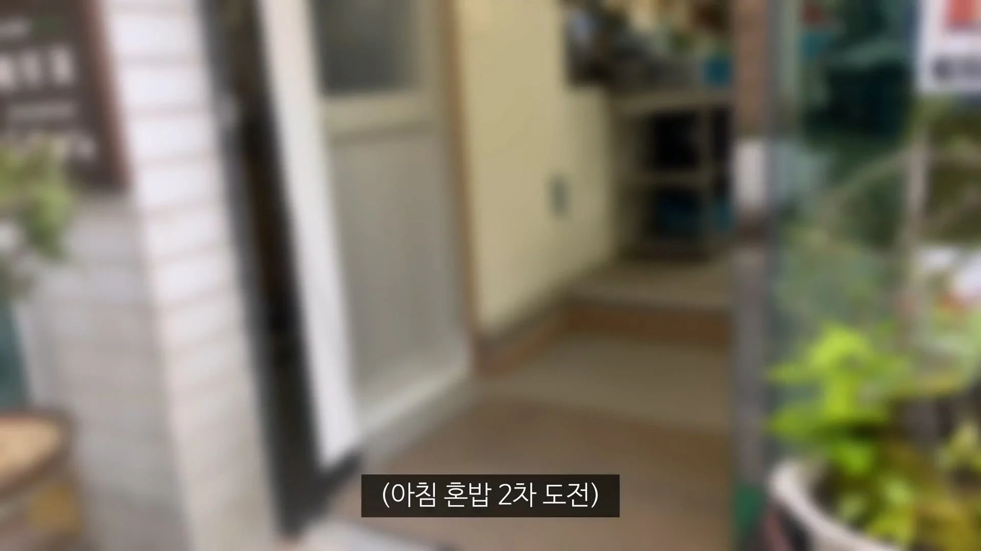 아직 정신 못차린 울릉도 (23)