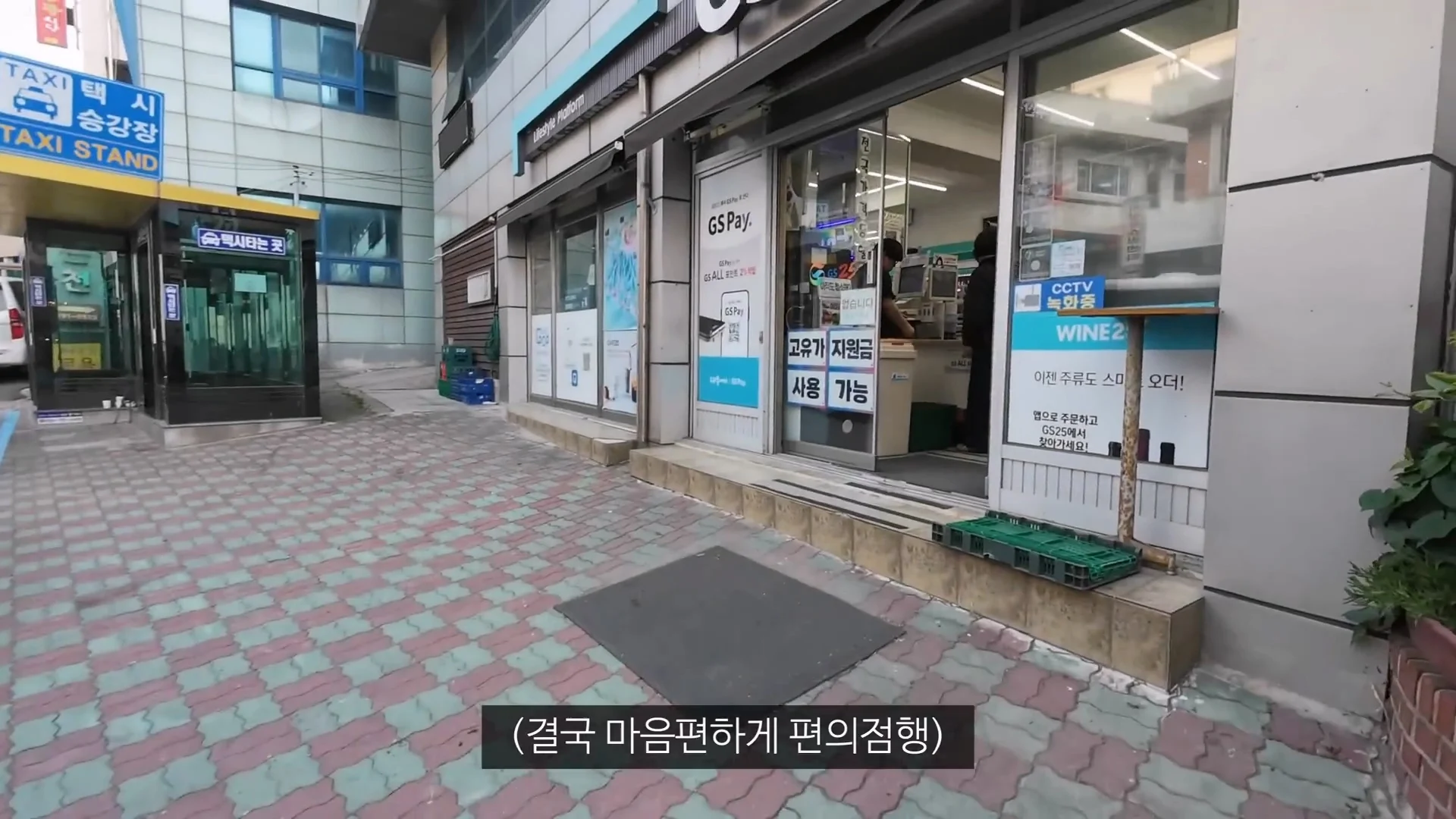 아직 정신 못차린 울릉도 (29)