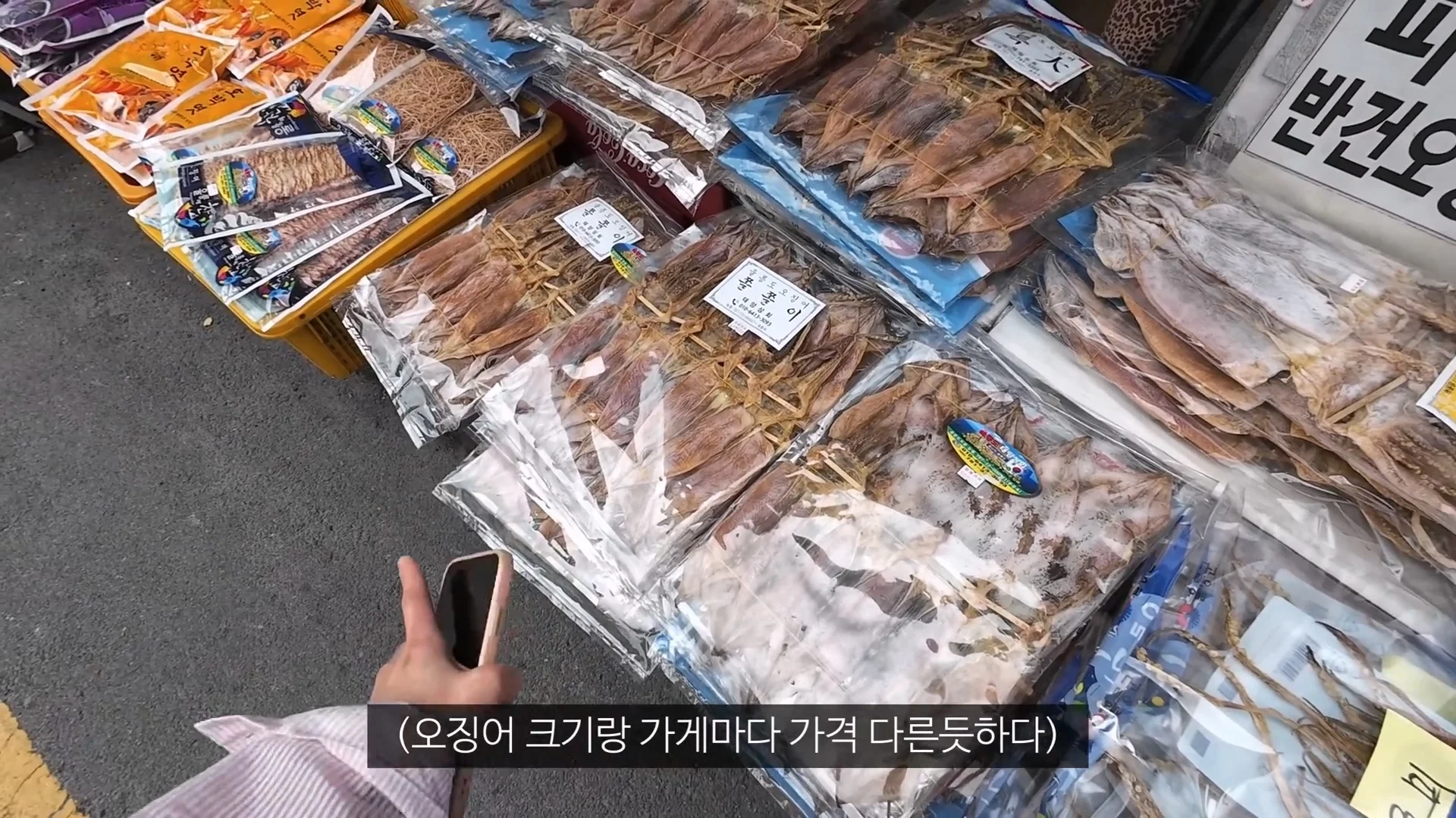 아직 정신 못차린 울릉도 (3)