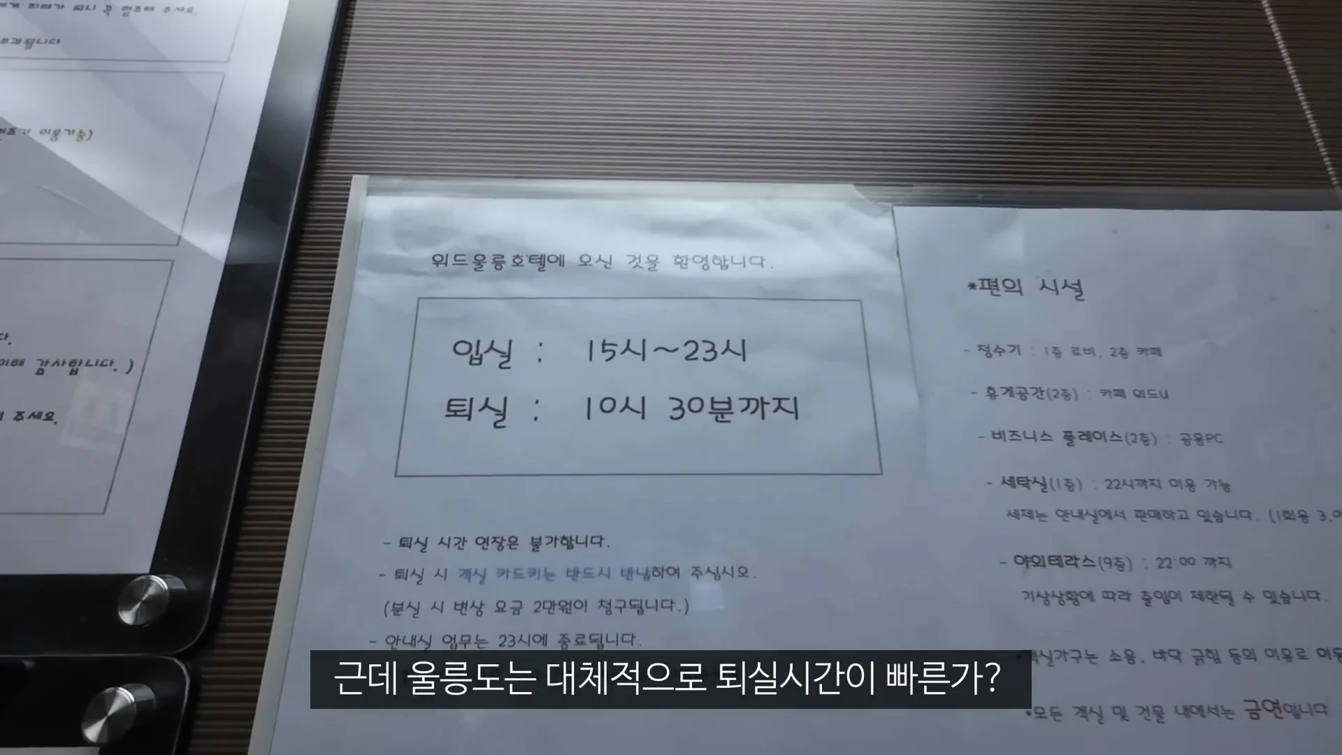 아직 정신 못차린 울릉도 (9)