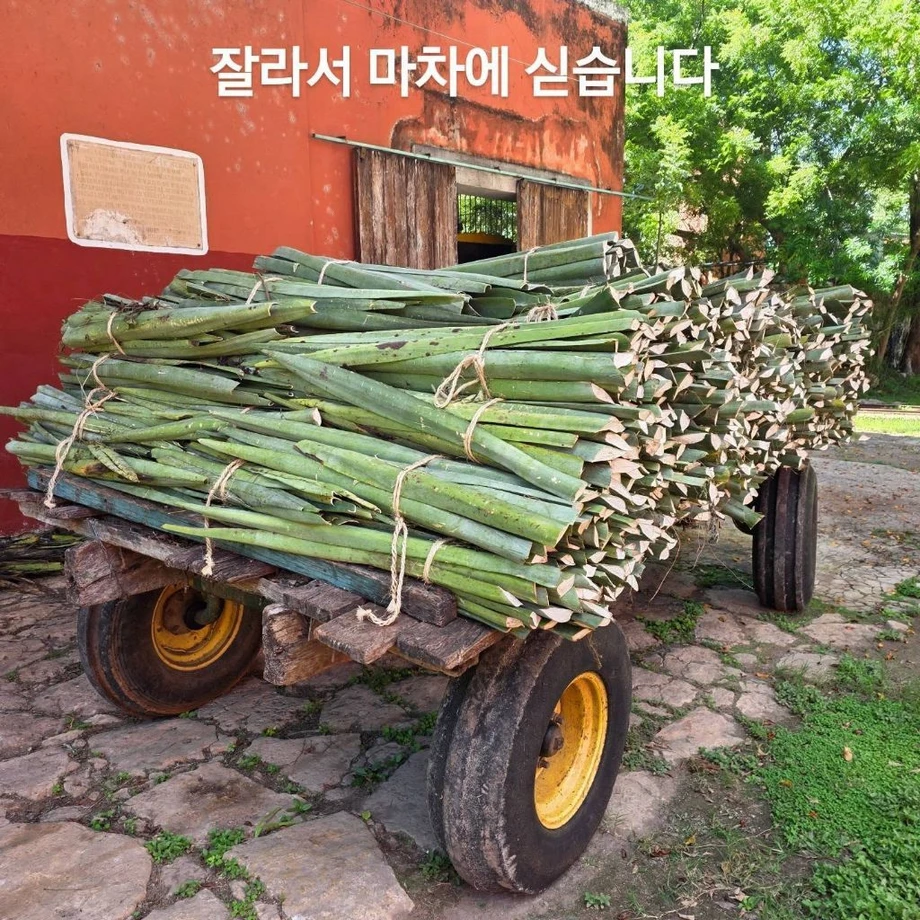 우리 선조들이 멕시코에 가서 한 일 (2)