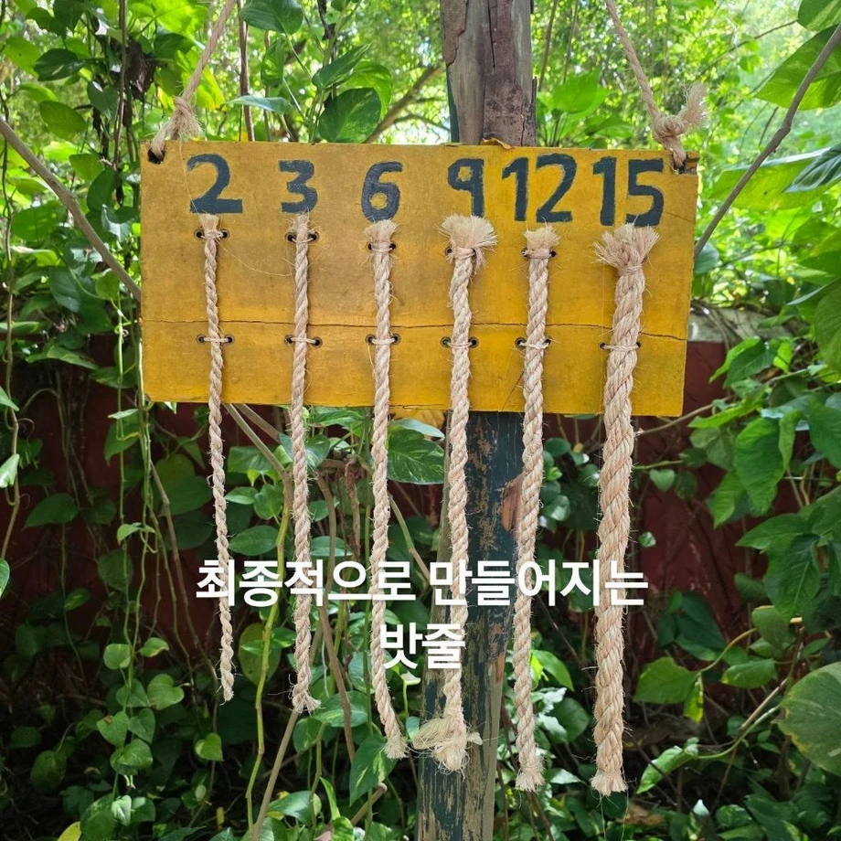 우리 선조들이 멕시코에 가서 한 일 (5)