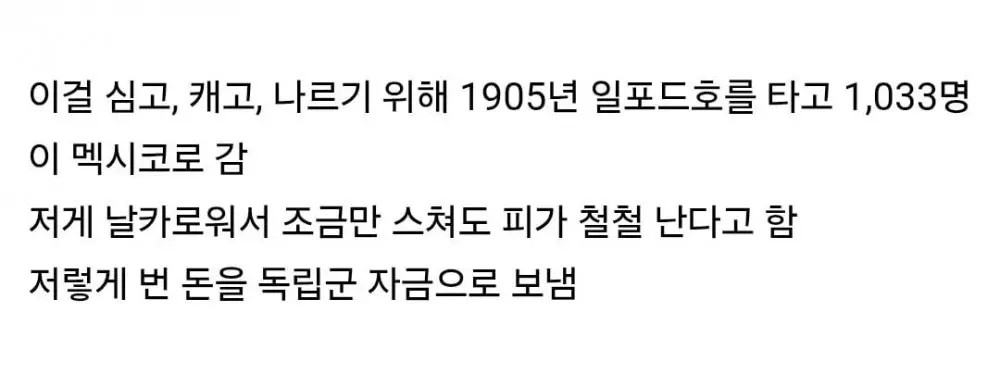 우리 선조들이 멕시코에 가서 한 일 (7)