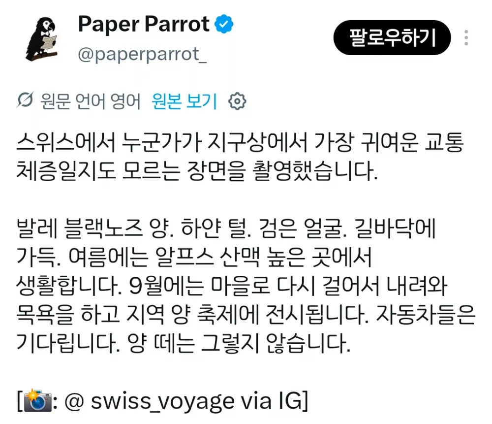 아마도 지구상에서 가장 귀여운 교통체증