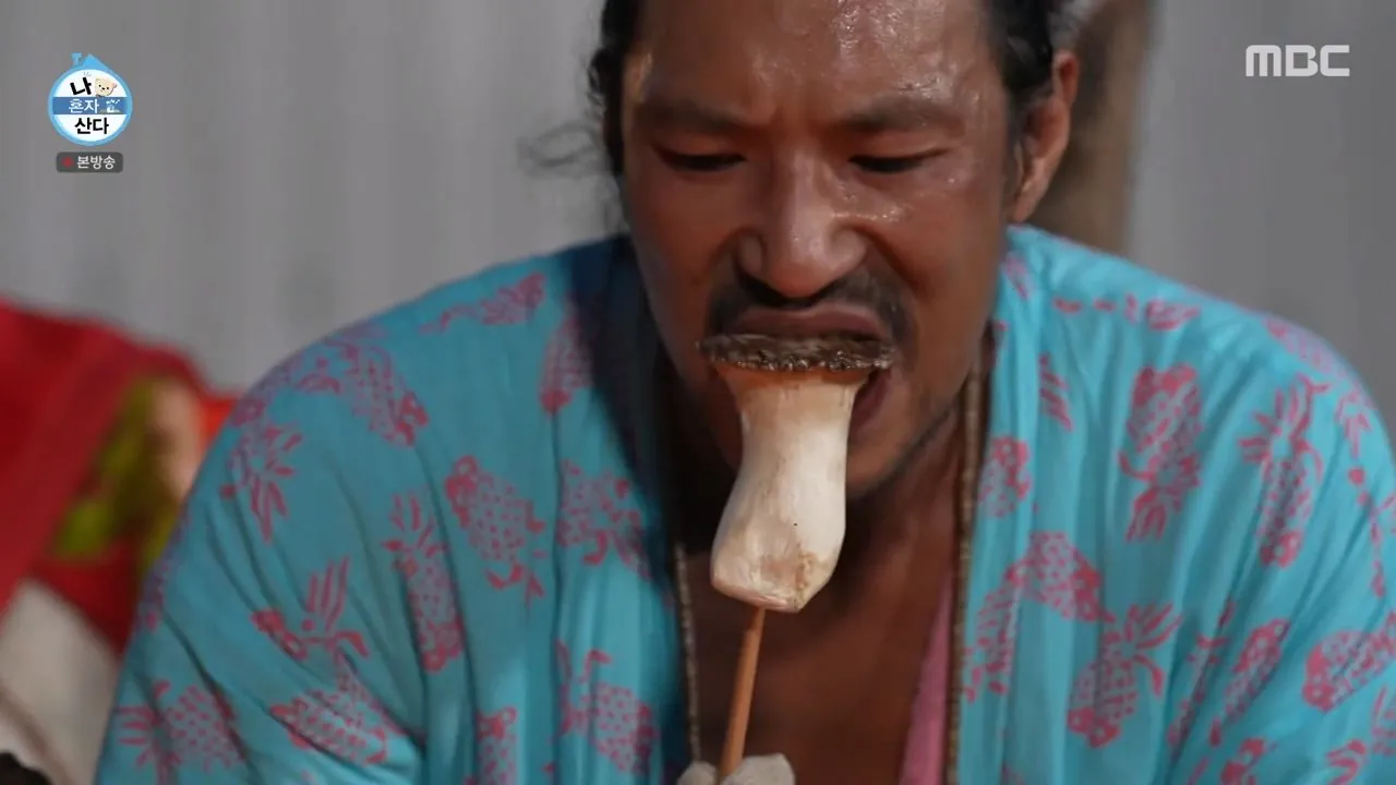 나혼자산다와 나는 자연인이다 사이의 중간 (15)