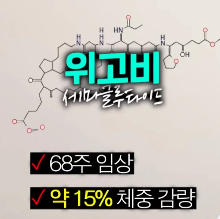 위고비, 마운자로를 뛰어넘는 새로운 다이어트 신약 (2)