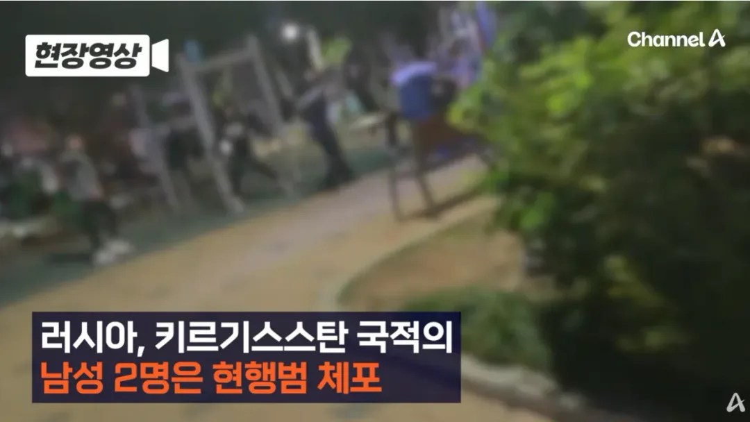 어제 평택에서 일어난 외국인 패싸움 (10)