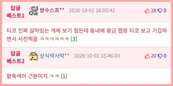 택시탔는데 기사님이 빨리 사진찍으래.jpg (2)