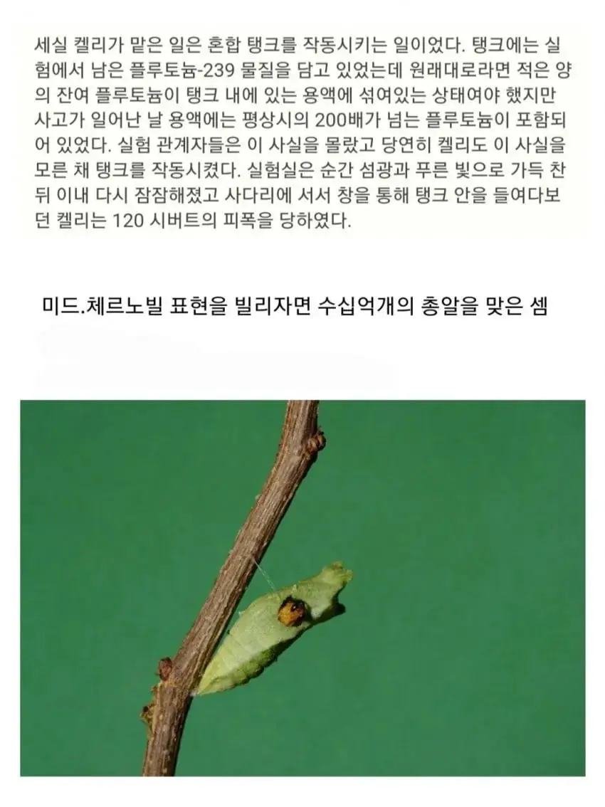 인류 역사상 가장 많은 방사선에 피폭당한 사람 (6)