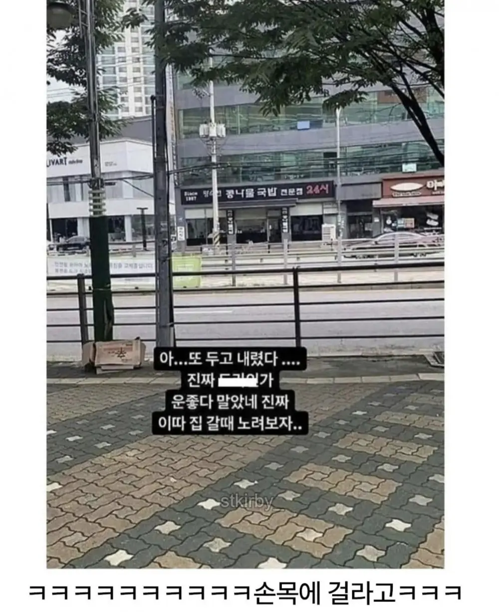 같은 실수를 반복한 우산 주인 (2)