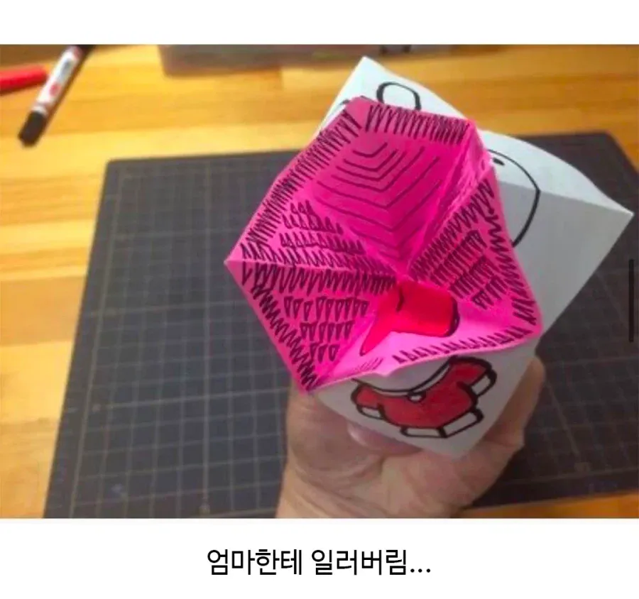 종이접기 해줬는데 조카가 울어버림 (3)
