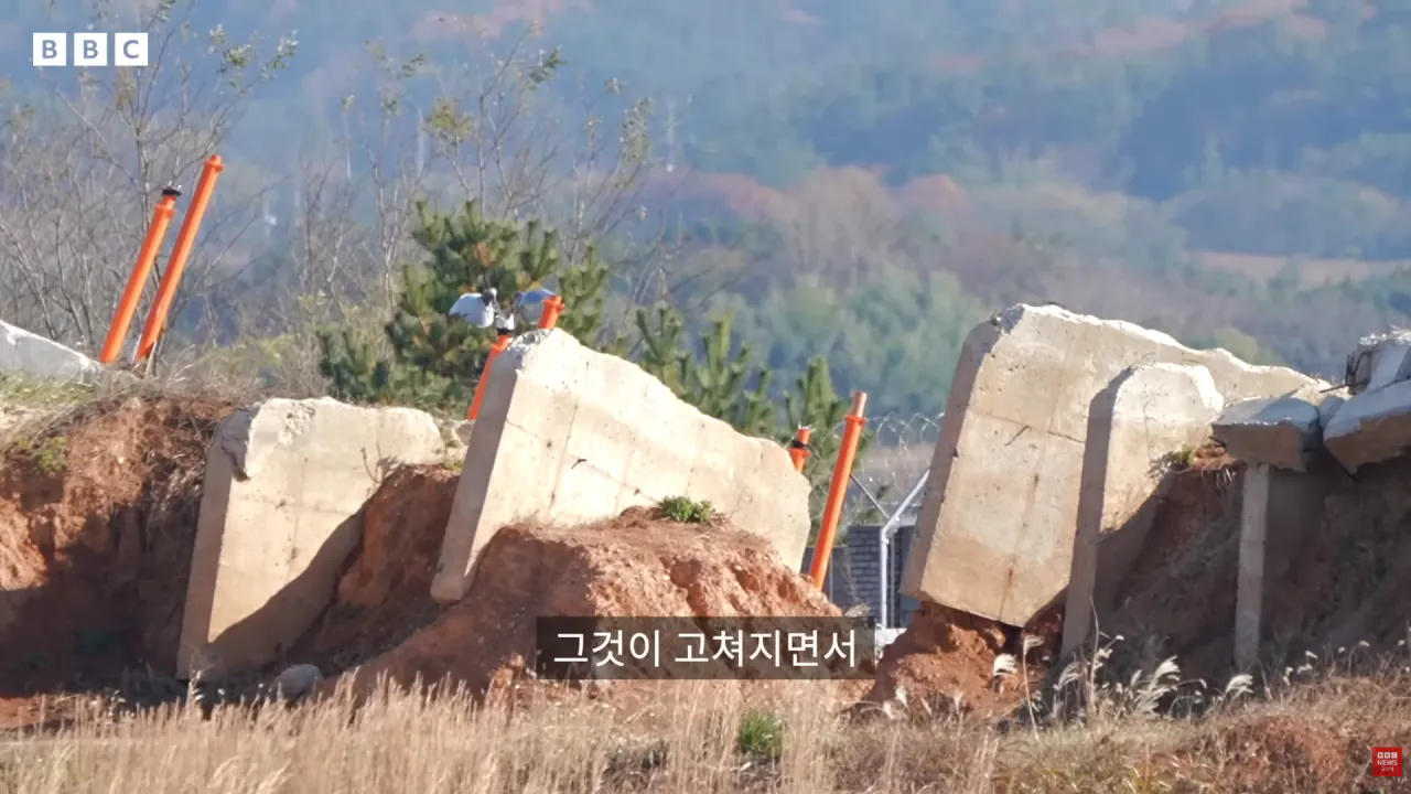 안개같은 무안 여객기 참사 (7)