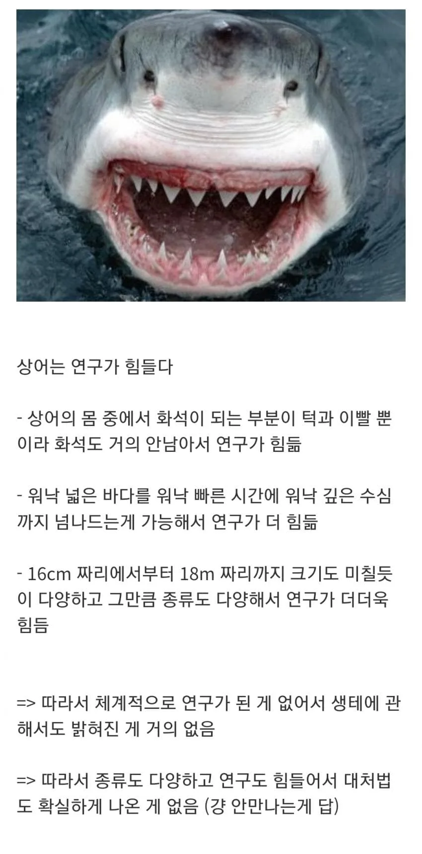 인지도는 최고 수준인데 정작 알려진 건 거의 없는 생물 (3)