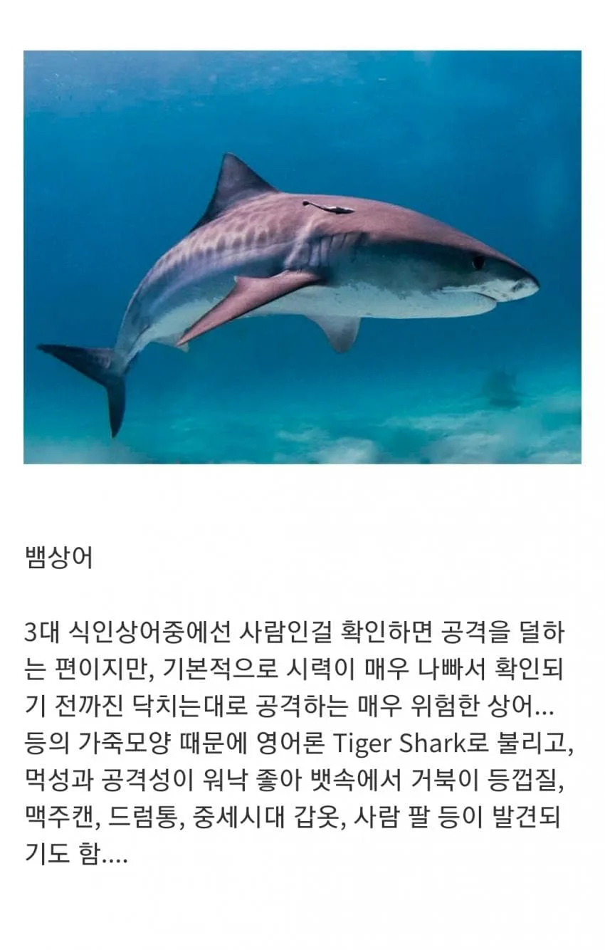 인지도는 최고 수준인데 정작 알려진 건 거의 없는 생물 (7)