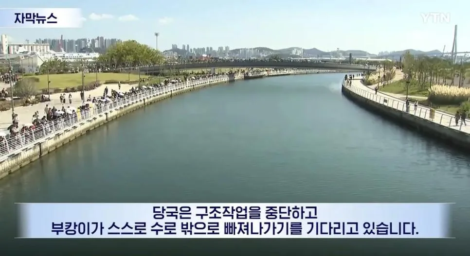 부캉이 구조 결국 gg침.jpg (2)