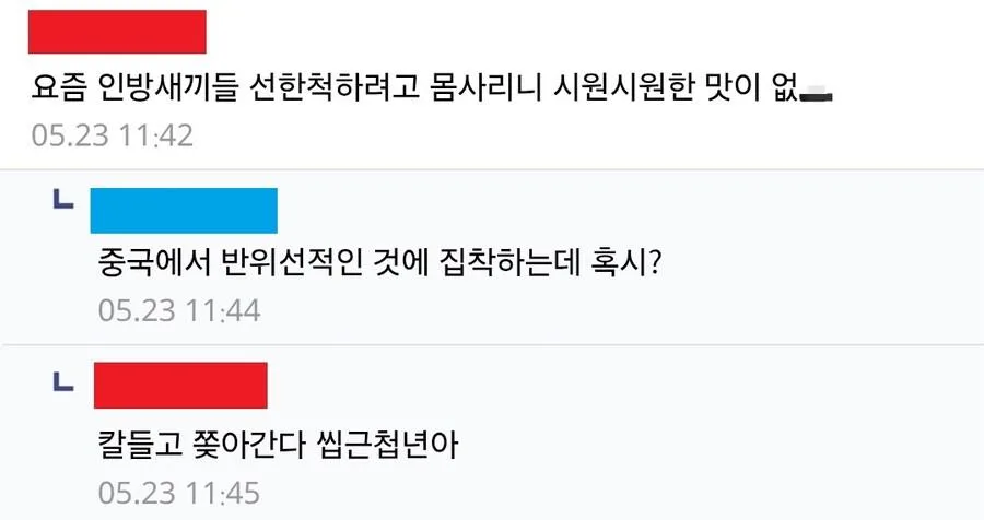 중국은 PC 척결해서 떠오를거라는 디시인 (2)