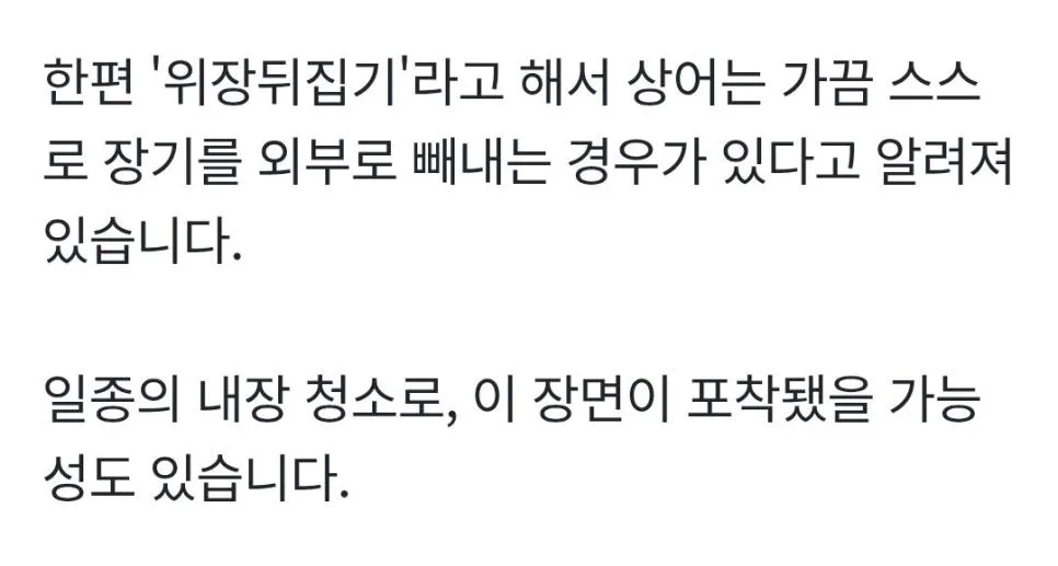 장기자랑하는 부캉이 (3)