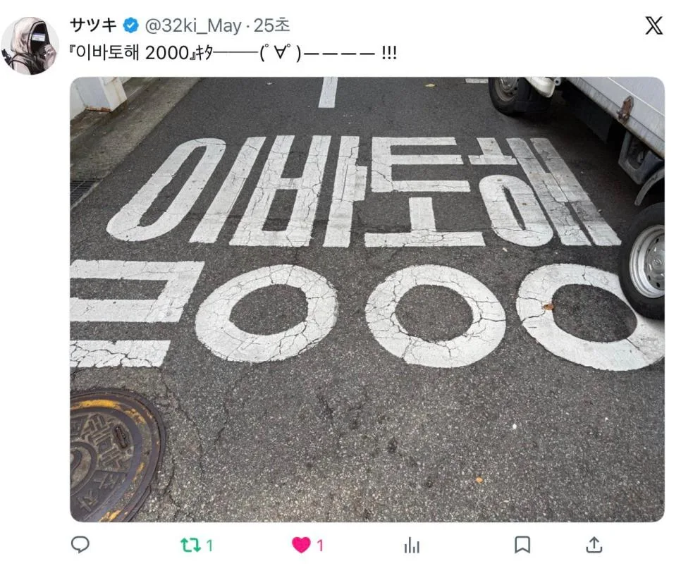 한국에서만 볼수 있다는 명물 (2)