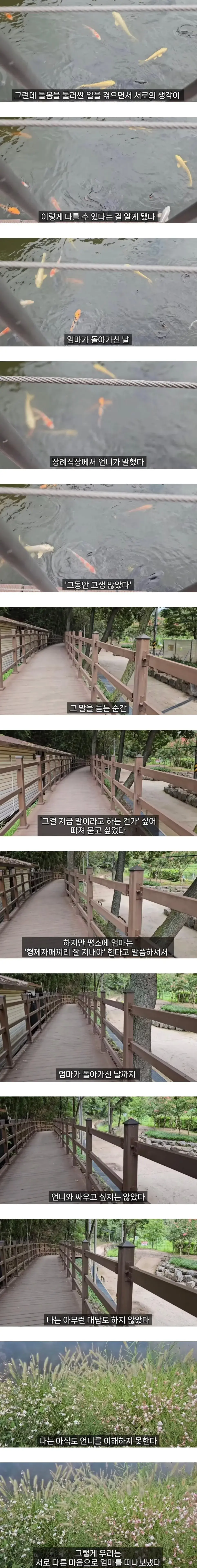 엄마를 돌보면서 자매도 남이 될 수 있다는 걸 알았다 (8)
