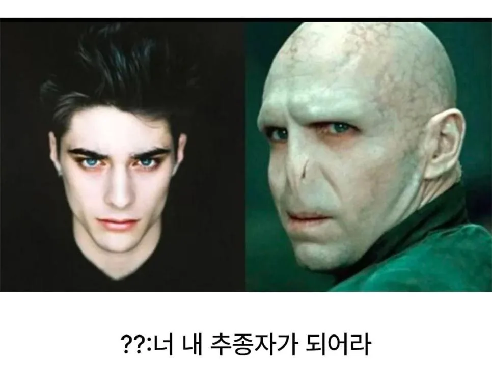 볼드모트가 영생해보겠다고 포기한 얼굴.jpg (7)