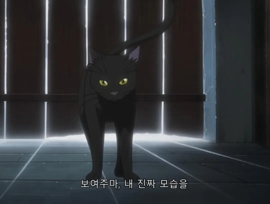 블리치 요루이치 첫등장 씬 레전드 (5)