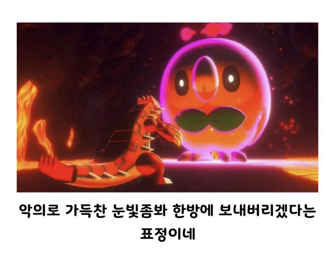 진짜 쟤랑 싸워요 라고 보던 애 근황 (2)