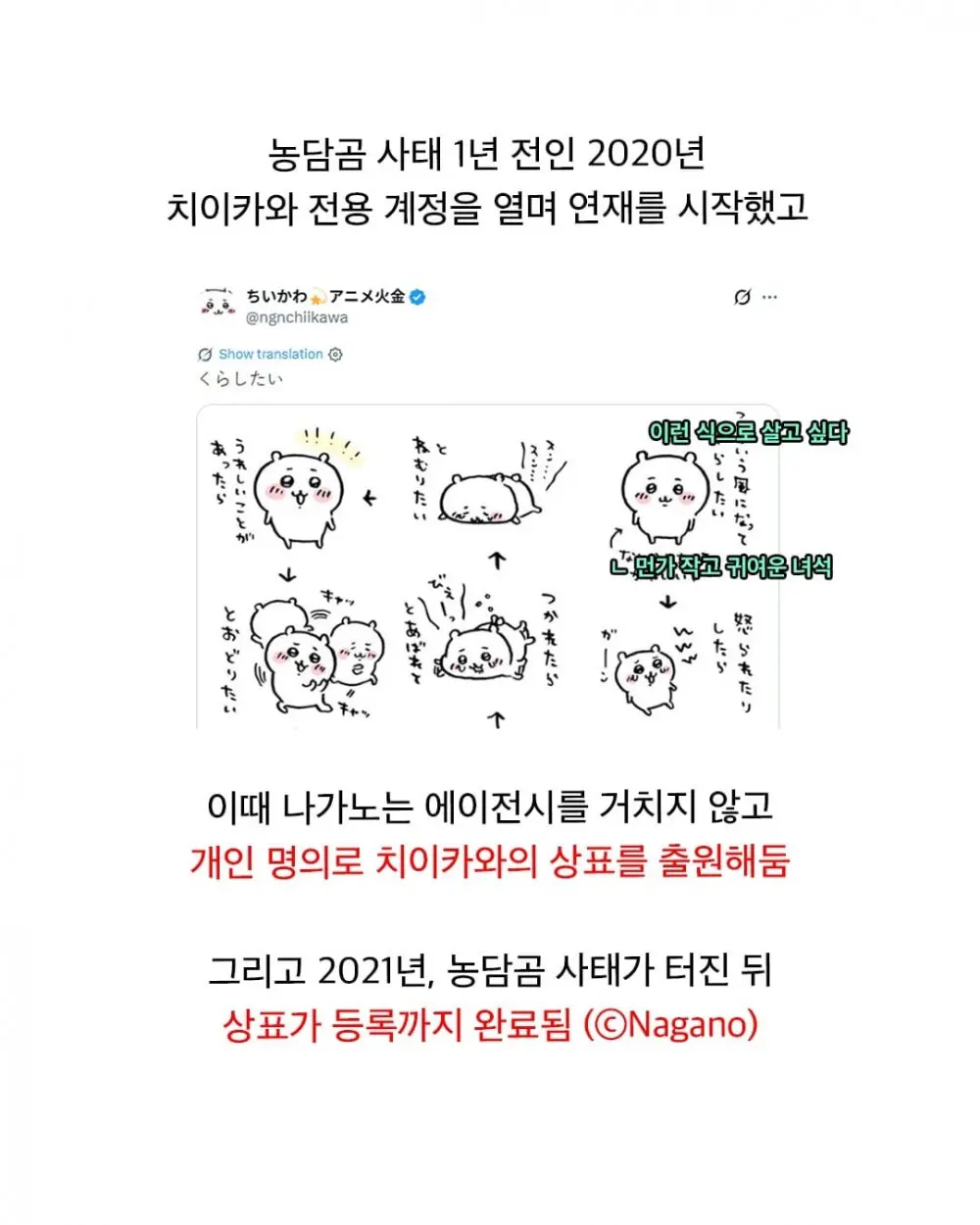 농담곰이 갑자기 사라진 이유 (7)
