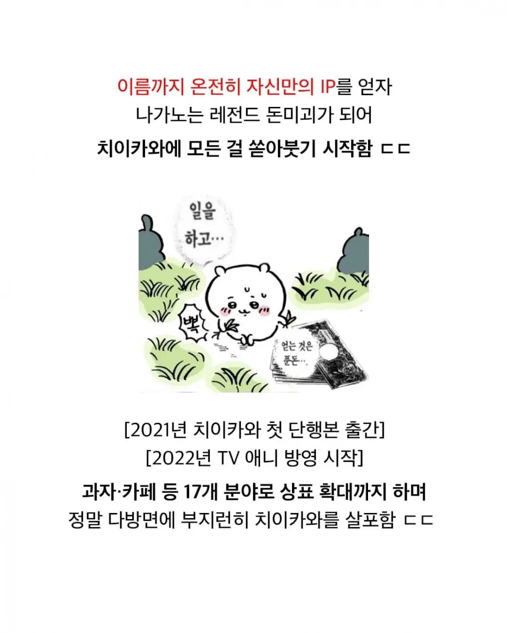 농담곰이 갑자기 사라진 이유 (8)