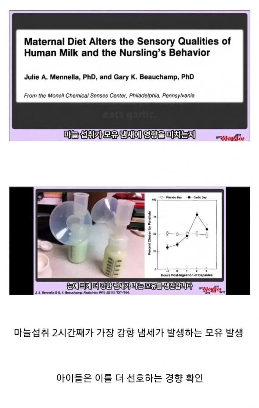 단군신화의 실제 모델로 추정되는 곰 (3)