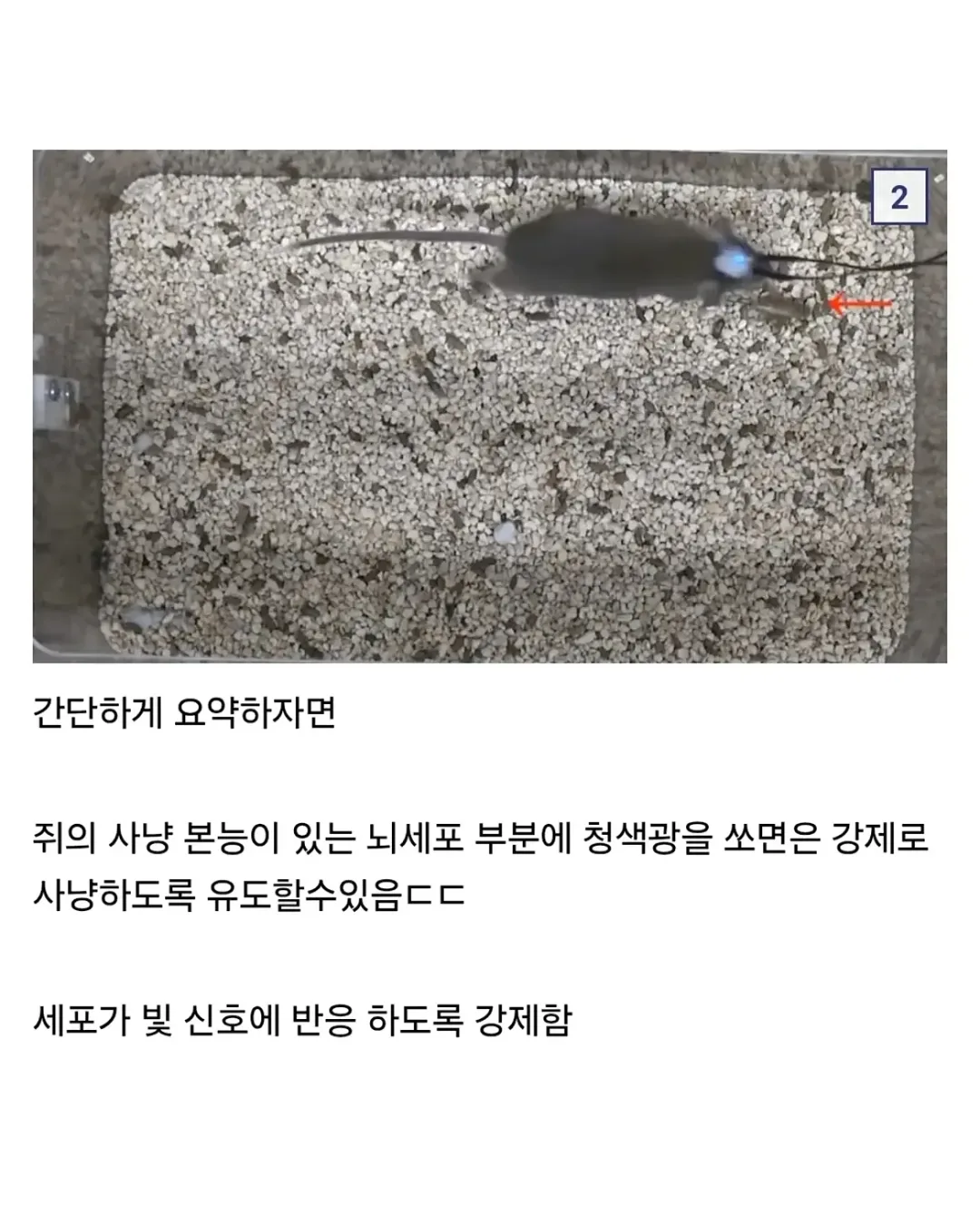 충격적이라는 이번 노벨 의학상 (2)