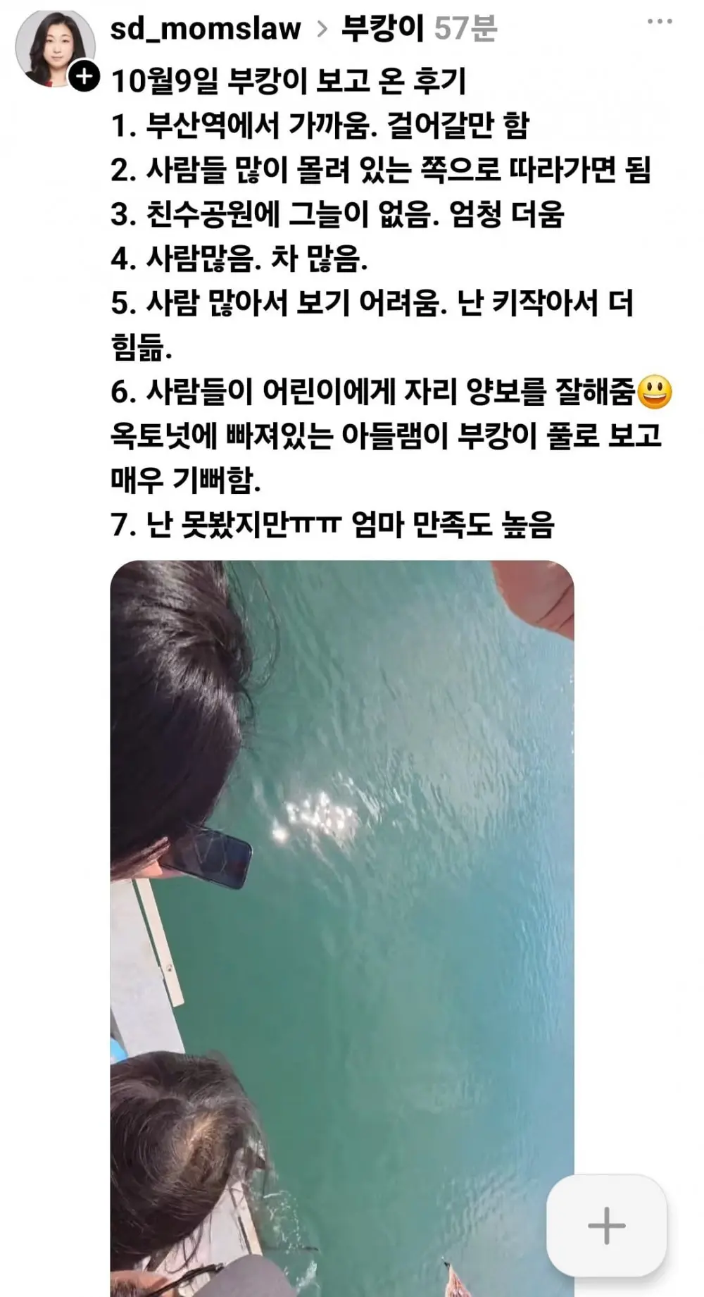 상어 부캉이 본 후기