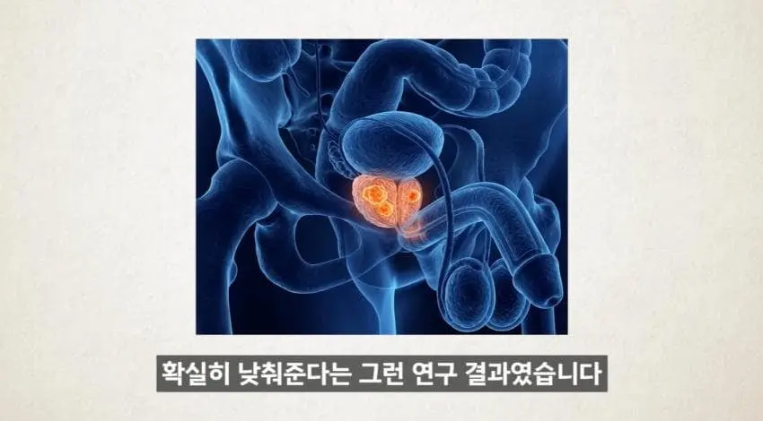 한 달에 21번은 사정하라 (36)