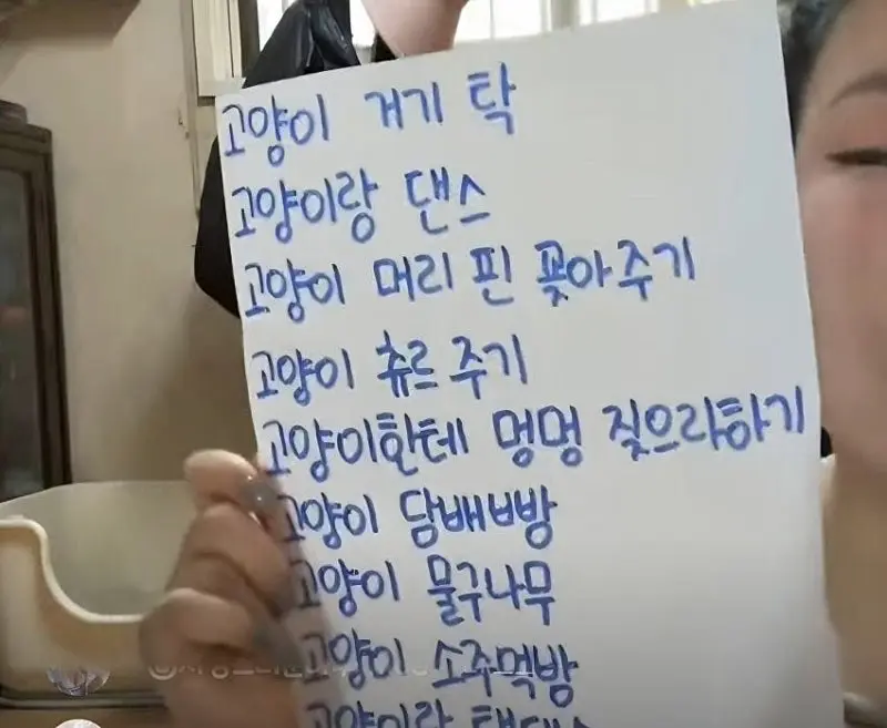 세월호비난 및 동물학대 논란으로 시끄러운 유튜버 (2)