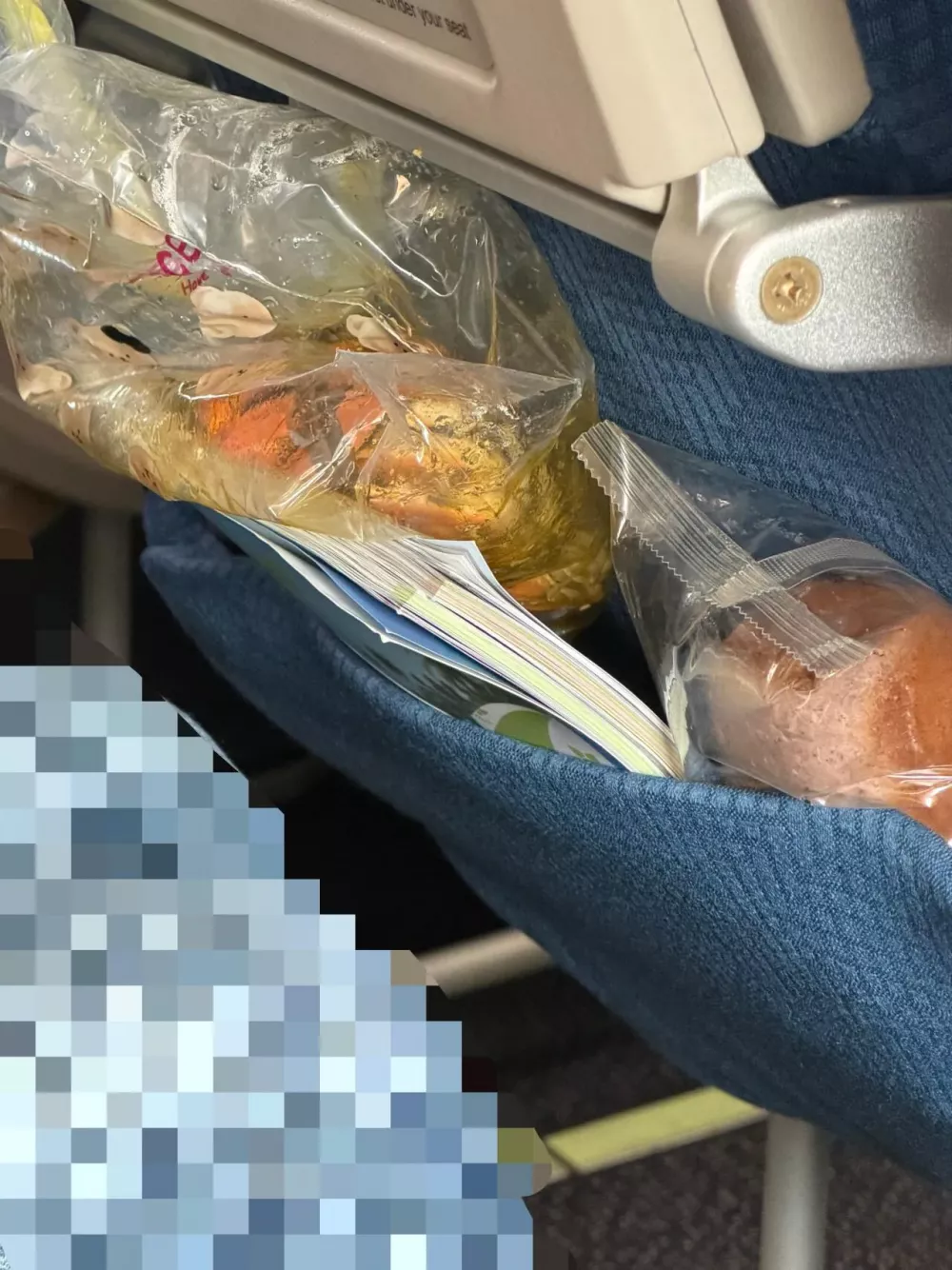 기내에서 게를 통으로 뜯어먹는 중국인 민폐 (2)