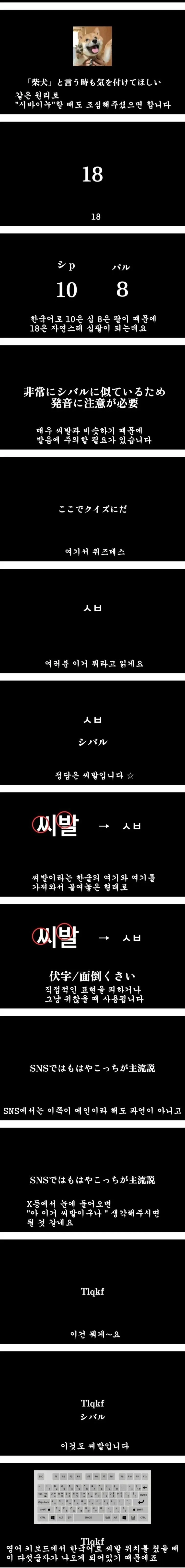 일본인 유튜버가 설명해주는 씨발 (2)