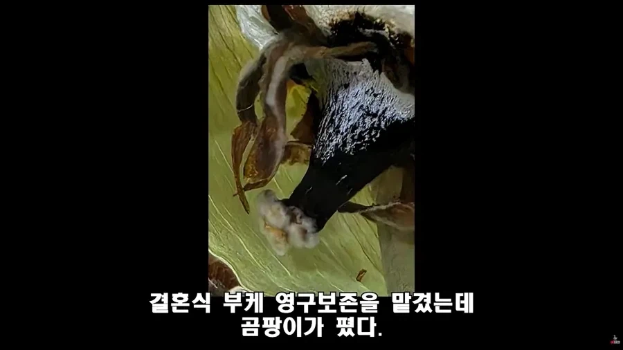 법대로 하시던가의 결말 (2)