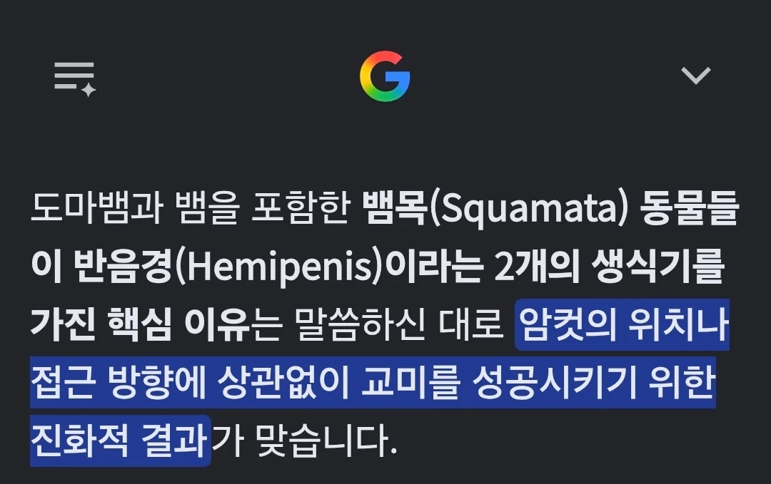니네 도마뱀은 고추가 2개인거 알았냐??? (3)