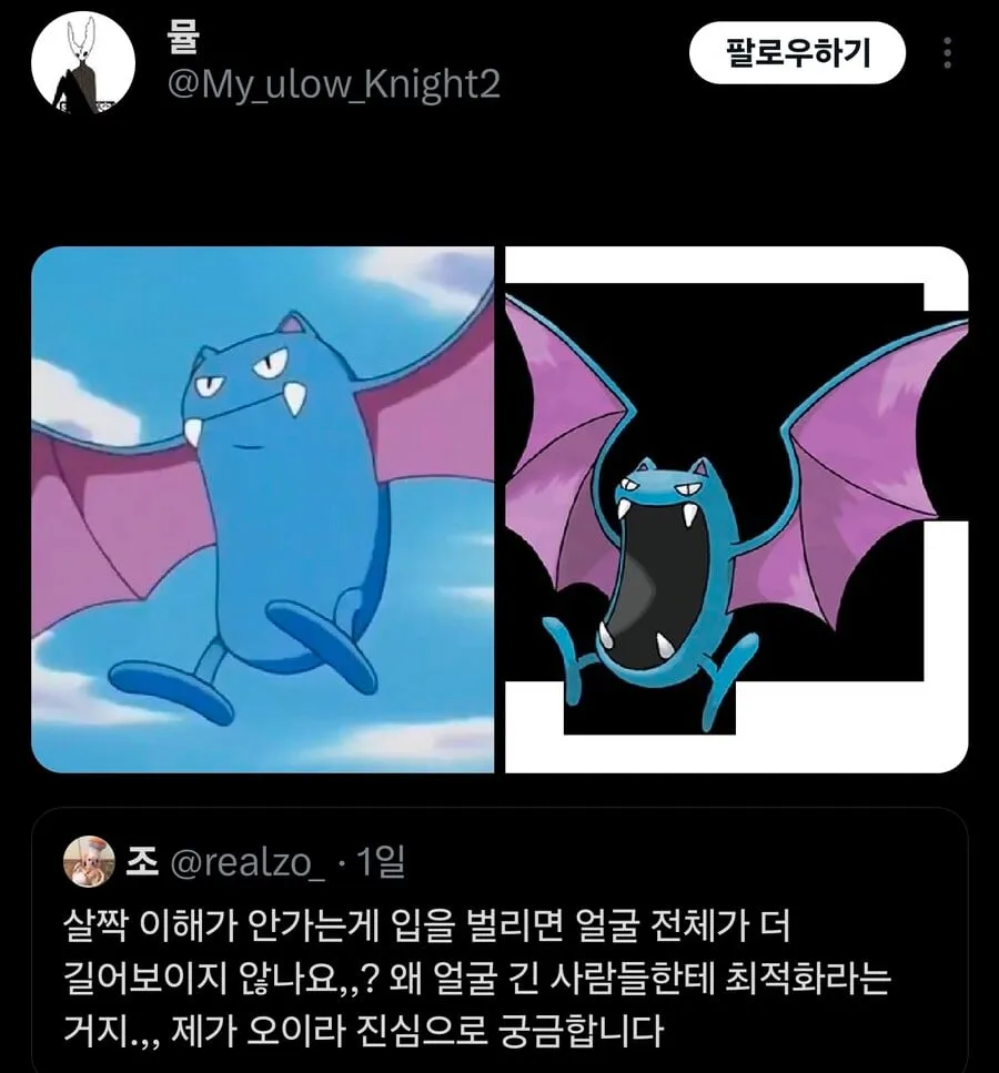 얼굴 긴 사람들의 최적화 표정 (2)