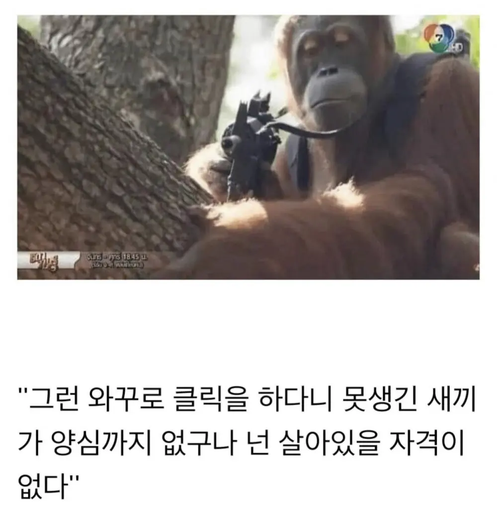 잘생긴사람만 들어와라 (2)