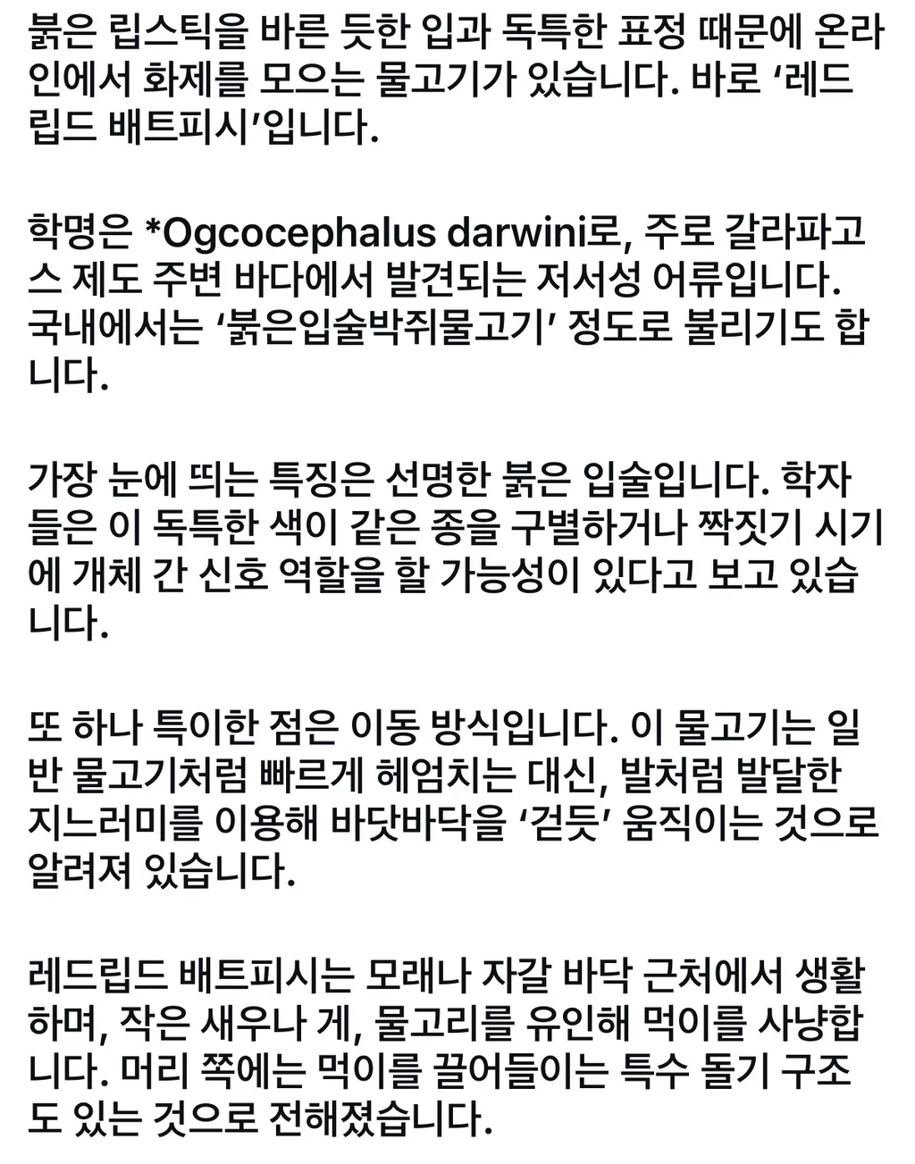 AI가 만든 거 아니고 실존하는 물고기