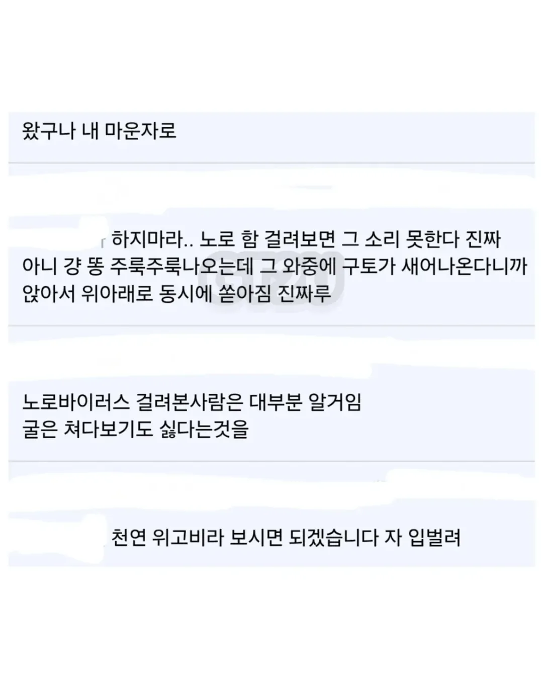 현재 노로바이러스 때문에 비상 걸렸다는 경남 굴 근황 (5)