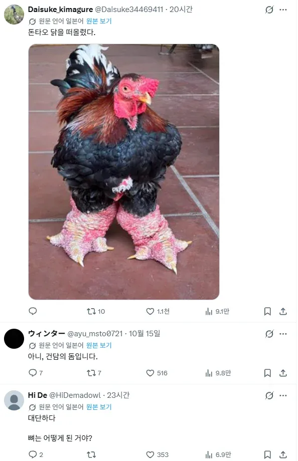 체형 때문에 일본에서 화제가 된 일본녀 (4)