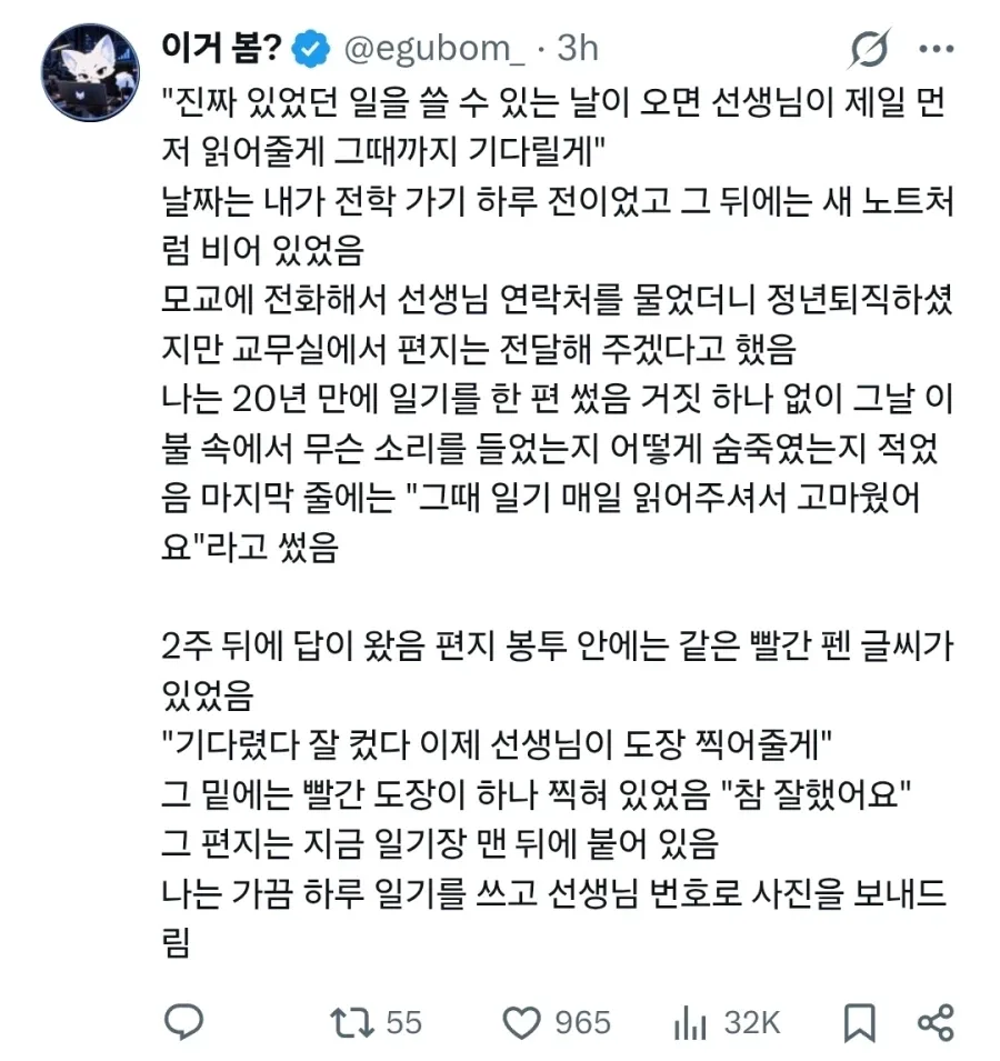 거짓 일기를 썼던 아이 (3)