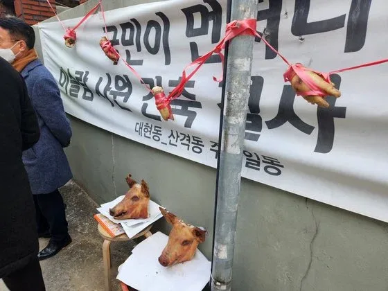 프랑스 시위로 인하여 뜬금없이 무슬림 차별로 전세계인들에게 칭찬받고 있는 한국 근황 (2)