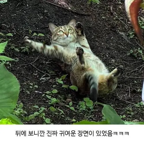 할머니가 귀엽다며 보내준 사진 (2)