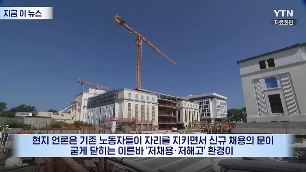 "이력서 2,300개 냈는데" 이럴 수가…프린스턴 박사도 피눈물 (7)