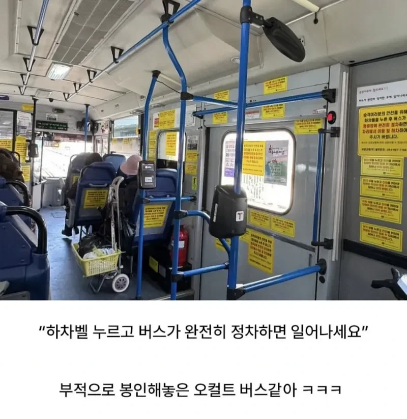 광기의 세종버스 (2)
